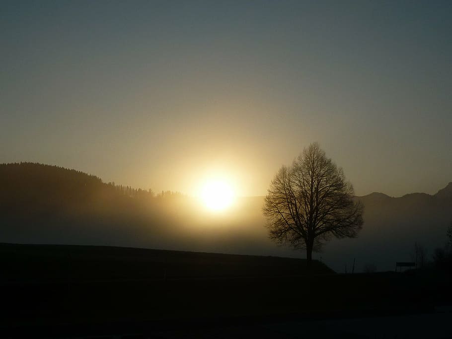 sunlight, sunset, shadow, abendstimmung, atmosphere, dusk, mood HD wallpaper