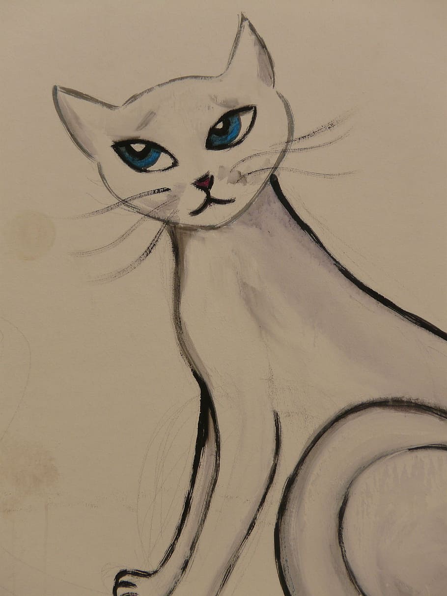 30 Easy Cat Drawing Ideas