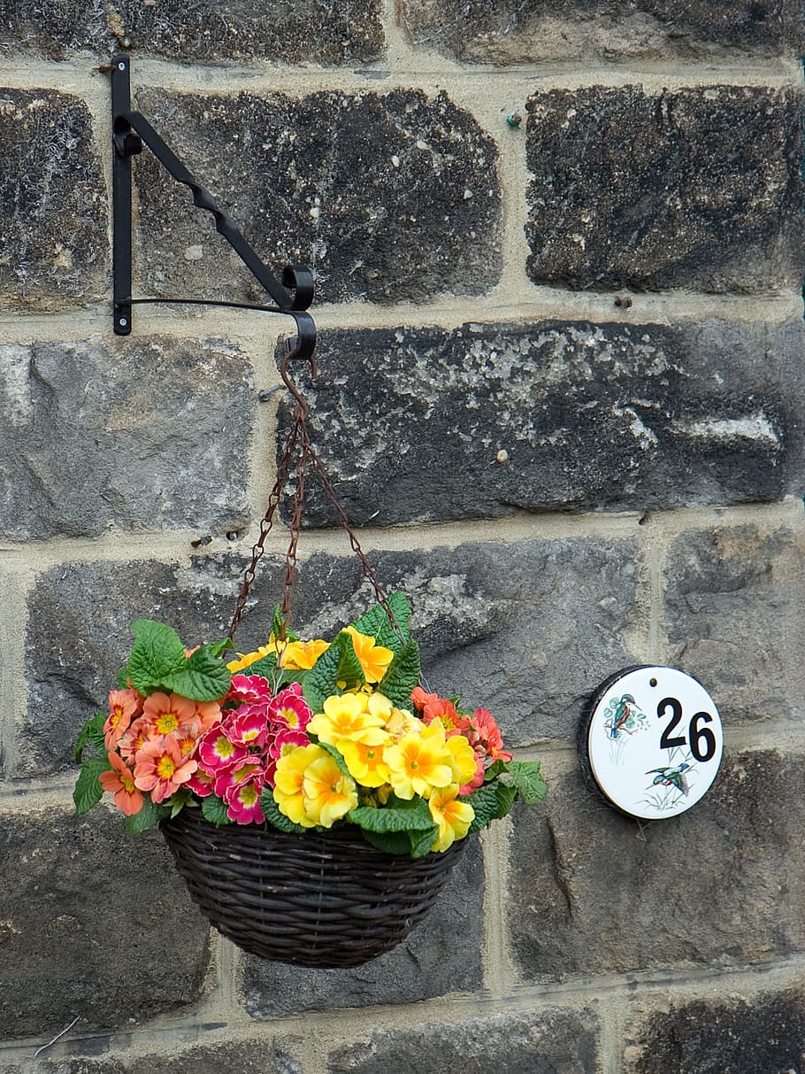 wall, basket, flowers, spring, colorful, house, number, flowering plant HD wallpaper