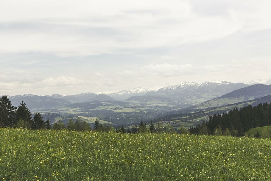field, hills, landscape, mountain range, mountains, nature HD wallpaper