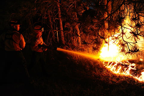 two firemen spraying fire on trees, firefighters, forest fire HD wallpaper