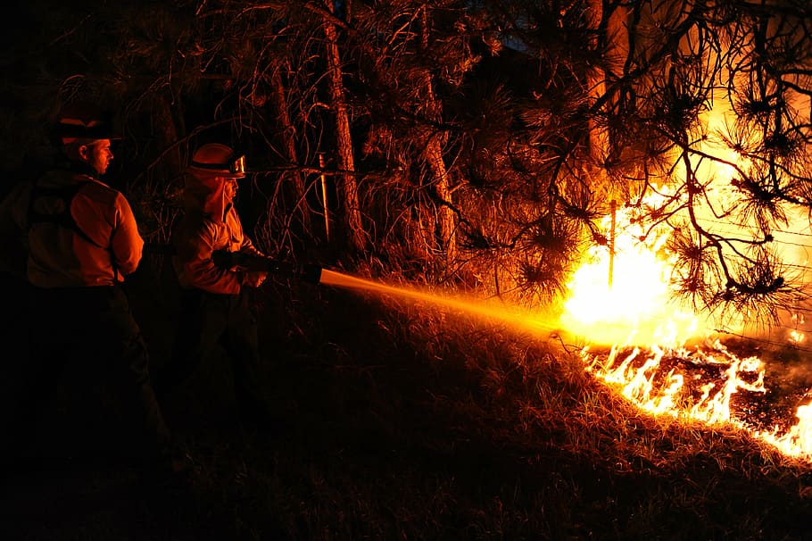 two firemen spraying fire on trees, firefighters, forest fire HD wallpaper