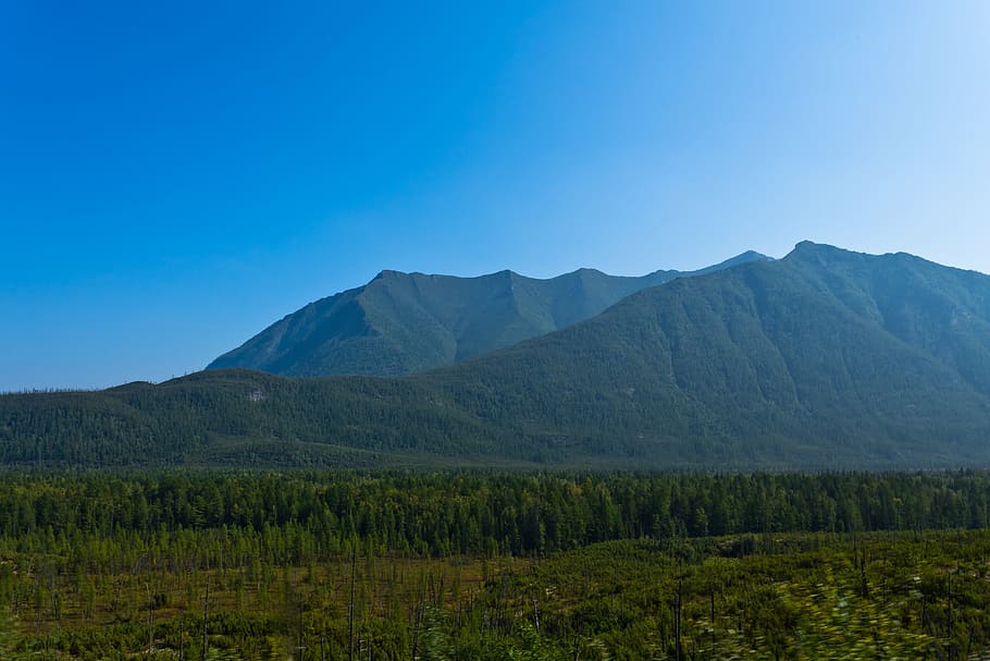 forest, top, mountain, sky, environment, land, landscape, beauty in nature HD wallpaper