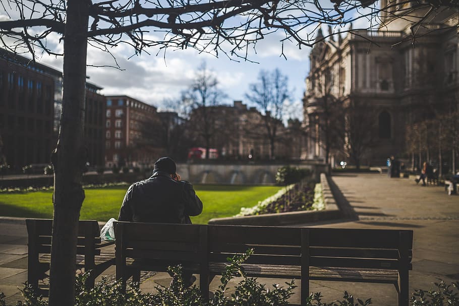 guy, sitting, park, bench, waiting, alone, building, tree, plants HD wallpaper