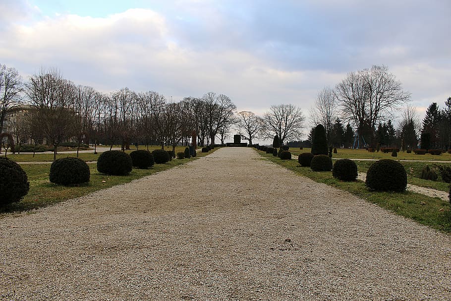 park, garden design, tree, plant, sky, cloud - sky, grave, cemetery HD wallpaper
