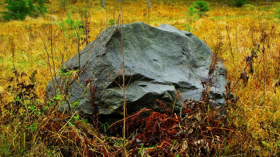 stone, colors, autumn, plant, land, nature, no people, tree HD wallpaper