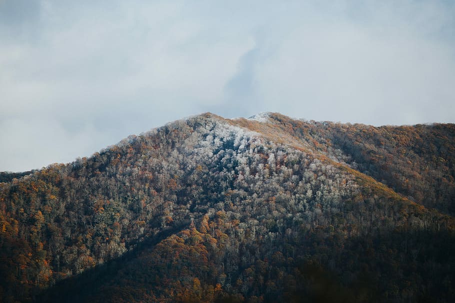 brown and white mountain under clouds, forest on mountain under white clouds HD wallpaper