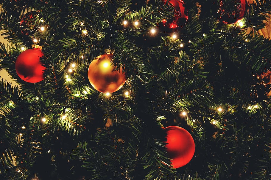 Closeup shot of Christmas tree lights and decorations, various