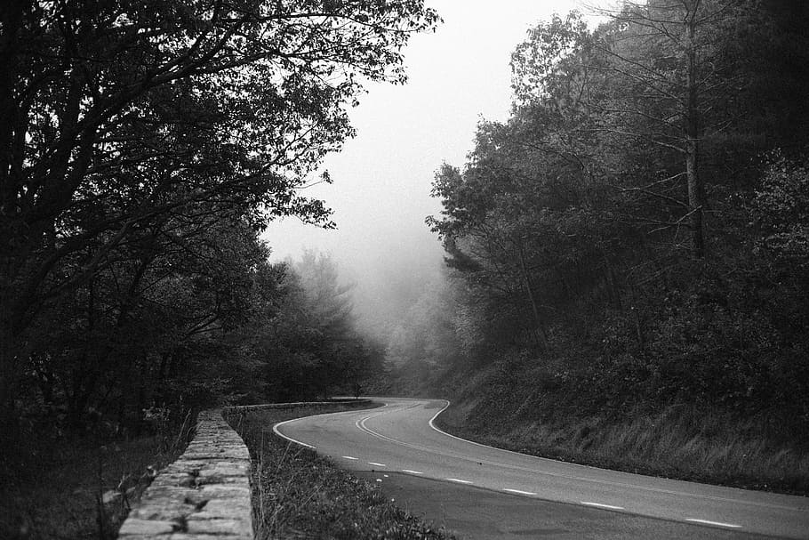 gray zig-zag concrete road, gray road, bend, tree, forest, woodland HD wallpaper