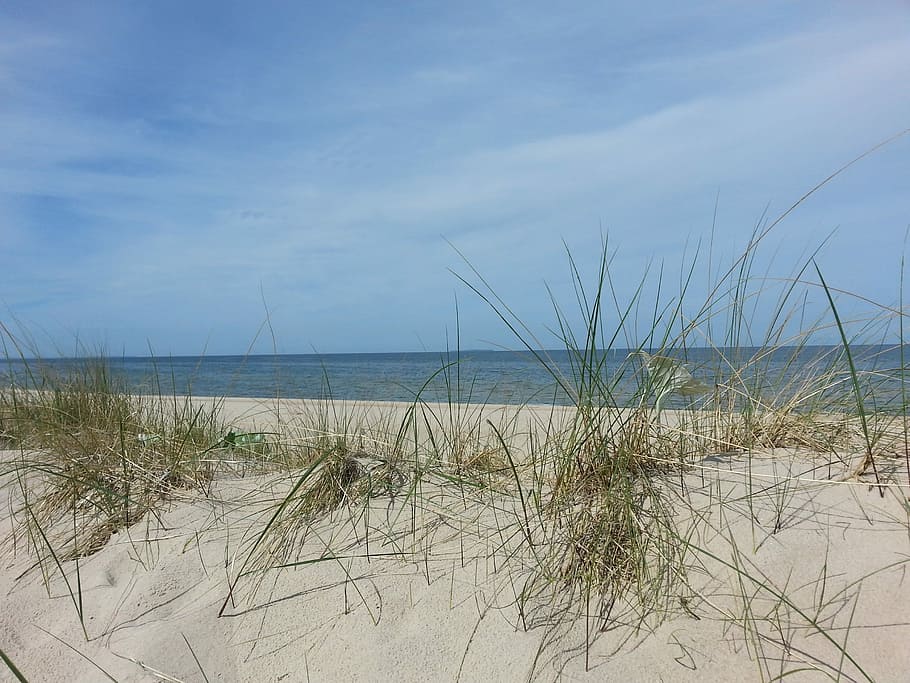 Sea, Silent, Rest, Beach, Sun, Holiday, baltic sea, ocean, water HD wallpaper