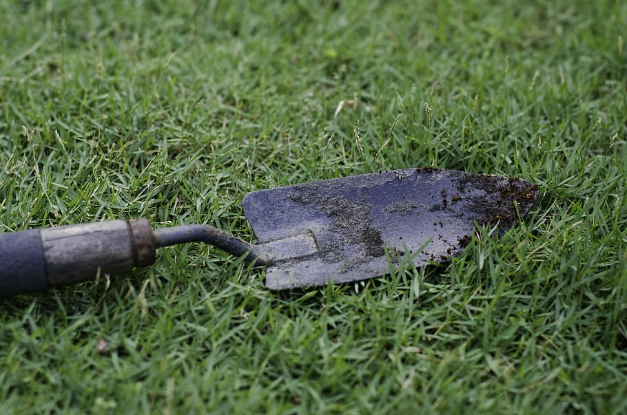 hand trowel, garden tool, soil, grass, plant, nature, field