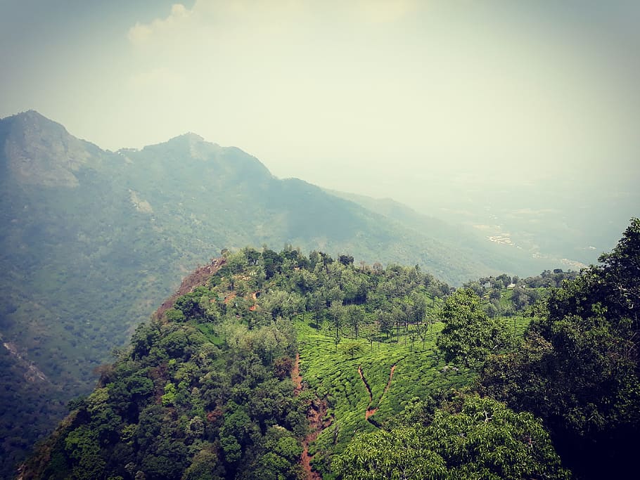 Nature, Mountain, Landscape, Sky, Forest, hiking, scenic, beauty HD wallpaper