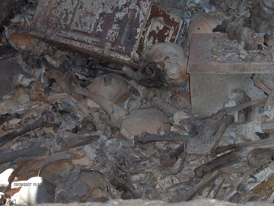 mass grave, skull, bones, death, horror, scary, crypt, common grave HD wallpaper