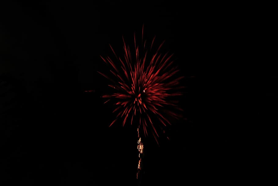 red firework in the sky, night, dark, black, celebration, event HD wallpaper