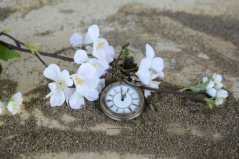 round silver-colored pocket watch and white flowers on sand, time of