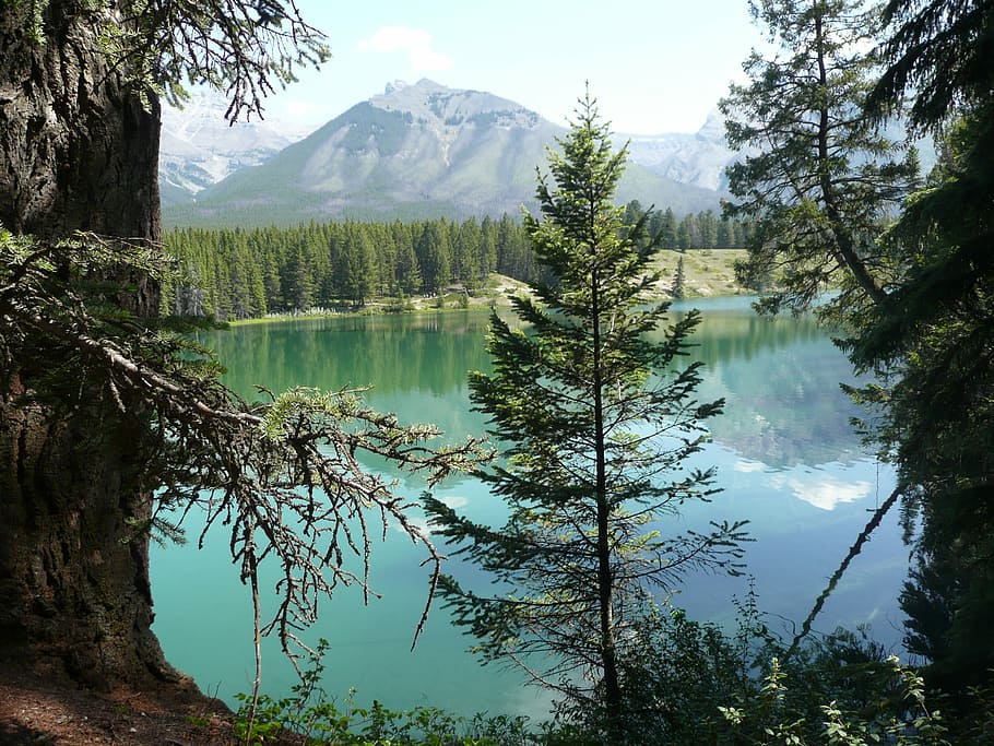 mountain, lake, alberta, landscape, mountain lake, canada, rocky HD wallpaper