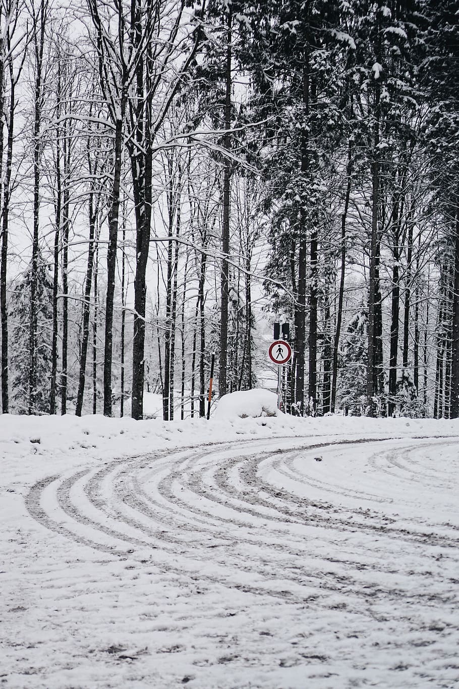 road covered with snows, white and red signage, forest, mountain HD wallpaper