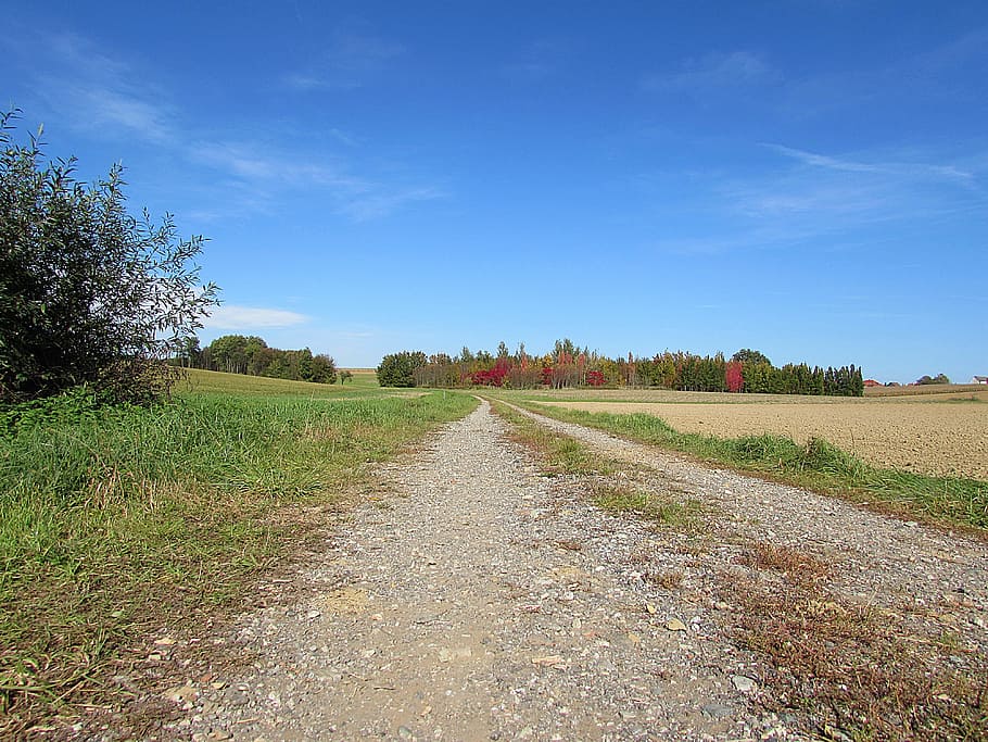 Trail, Trees, Landscape, Nature, lane, germany, autumn, agriculture HD wallpaper