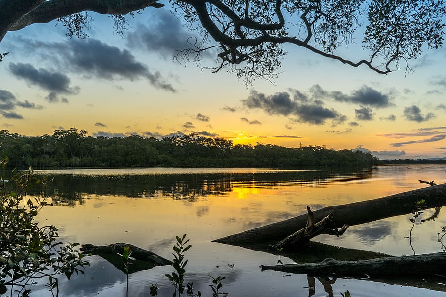 landscape, river, sunset, trees, reflection, nature, scene HD wallpaper