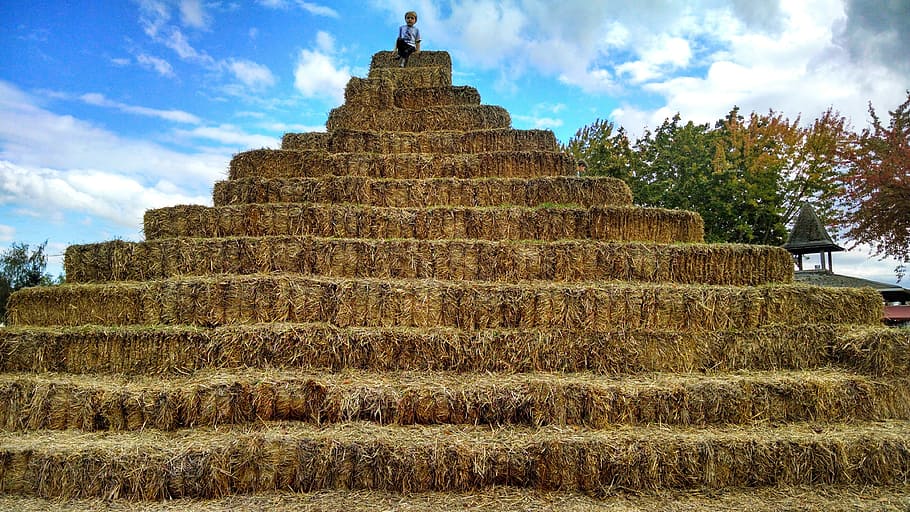 person sitting on top of pyramid, hay, bales, stack, climb HD wallpaper