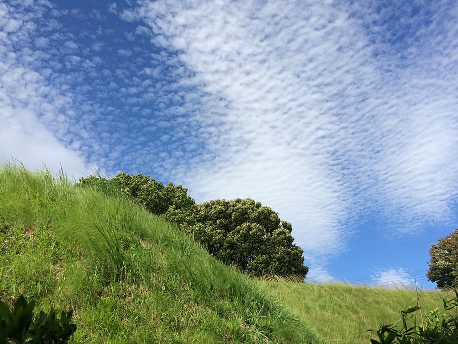 autumnal sky, cloud, the clouds, plant, beauty in nature, green color HD wallpaper
