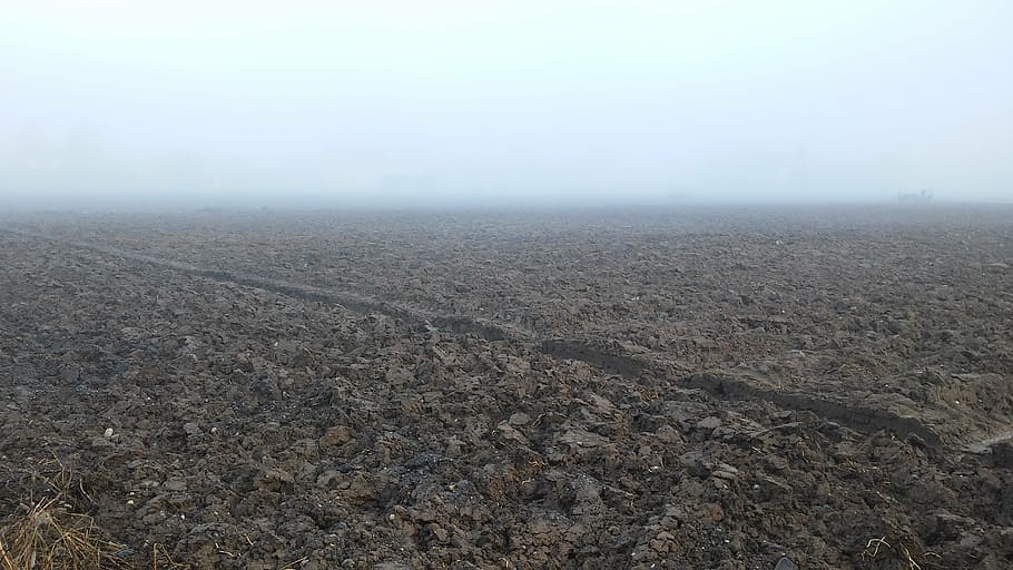 arable, autumn, fog, background, field, agriculture, tranquility HD wallpaper