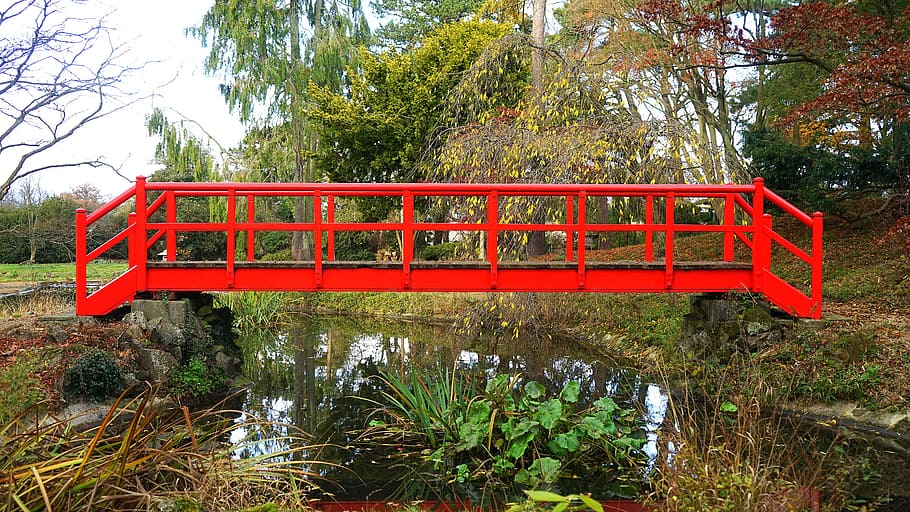 road, water, bridge, garden, river, scenic, trees, plant, red HD wallpaper