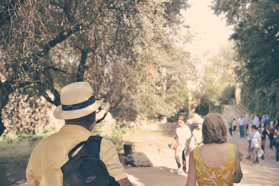 man, people, walking, park, hat, public domain images, tree, group of people HD wallpaper
