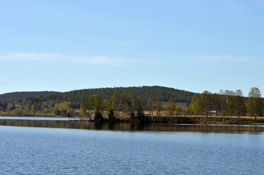 water, nature, tree, sky, scenics - nature, tranquil scene HD wallpaper