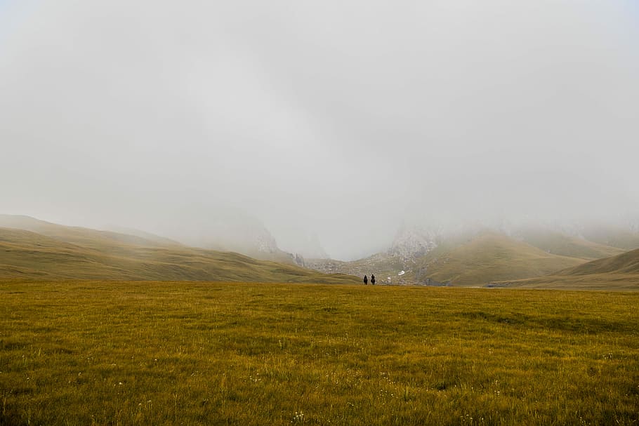 two person in brown grass field under gray sky, green grass field HD wallpaper