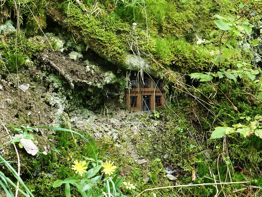 house covered with moss, elves, fairies, feenhaus, wood elves