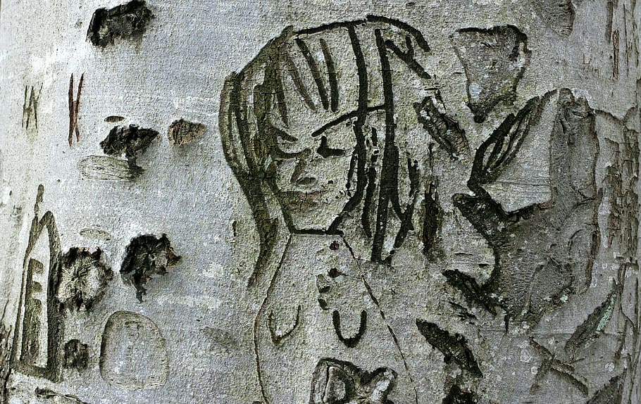 tree, carved, face, person, symbol, engraved, eingeritzter tree HD wallpaper