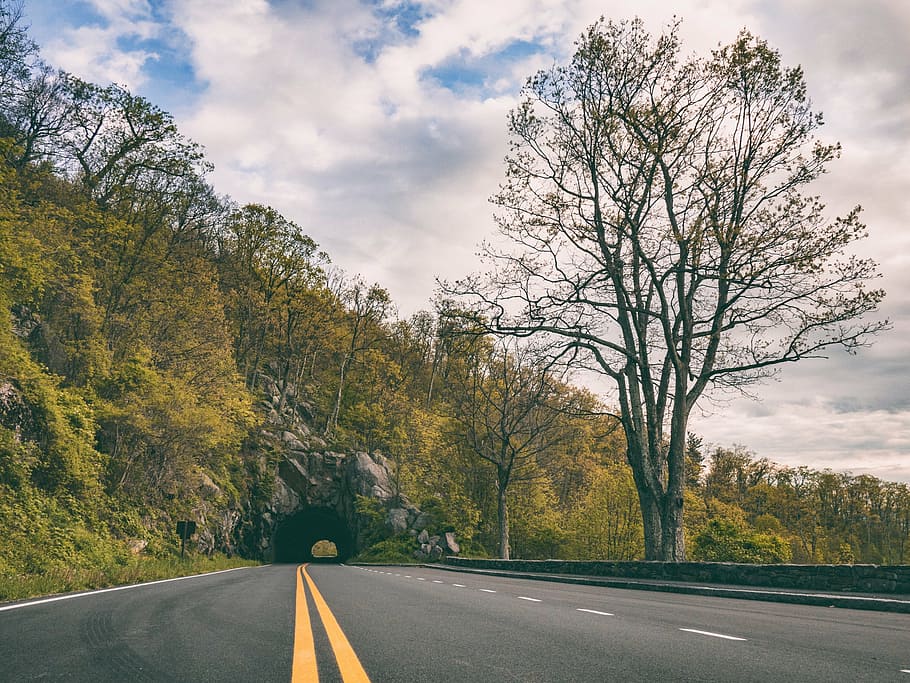 black concrete road and green trees during daytime, mountain HD wallpaper
