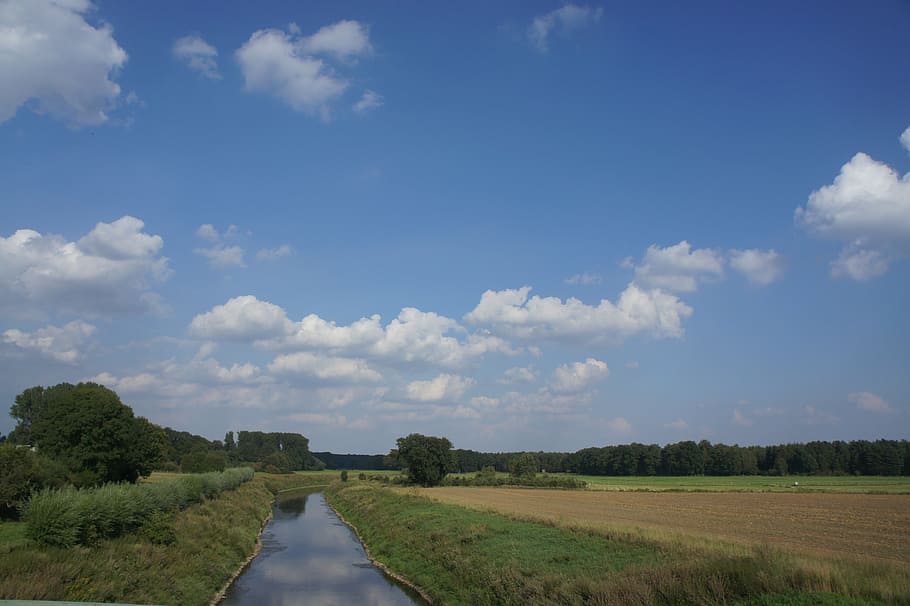 landscape, blue, clouds, field, summer, sky, cloud - sky, plant HD wallpaper
