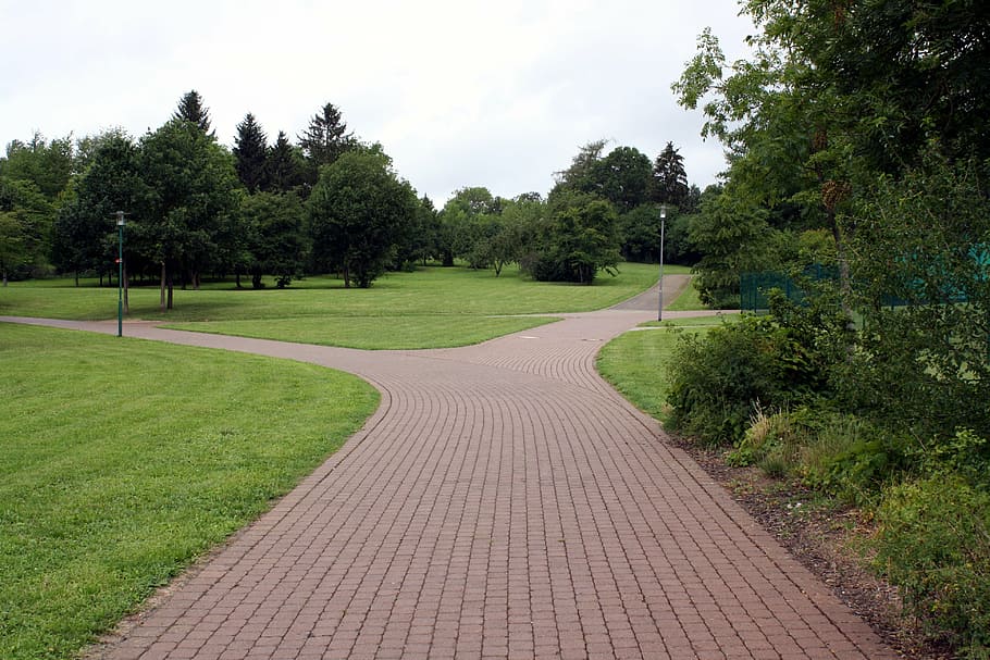 gray concrete pathway at daytime, away, road, park, trees, fork HD wallpaper