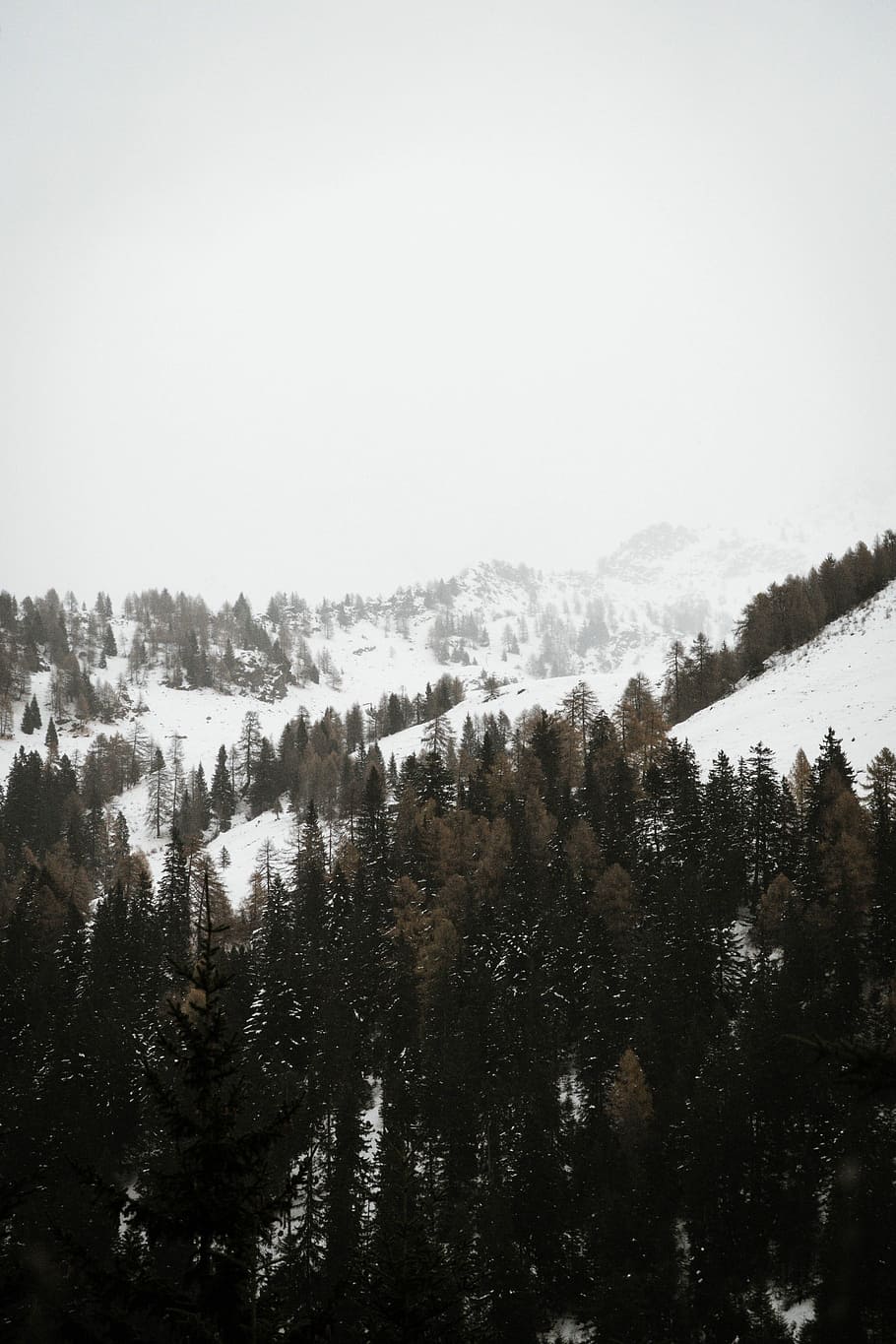 mountain covered by snow during daytime, aerial view of pine trees HD wallpaper