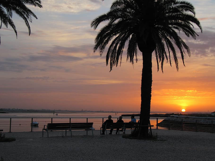 friends, evening, rio, sunset, sky, water, beauty in nature HD wallpaper