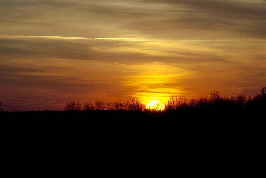 silhouette of grass during sunset, warm, clouds, orange, light HD wallpaper