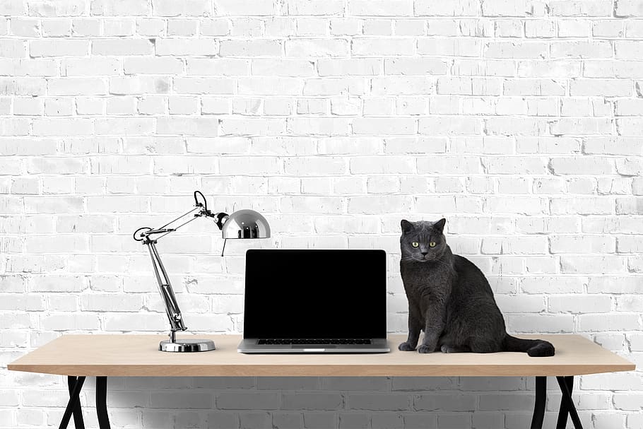laptop, interior, desk, computer, notebook, technology, communication HD wallpaper