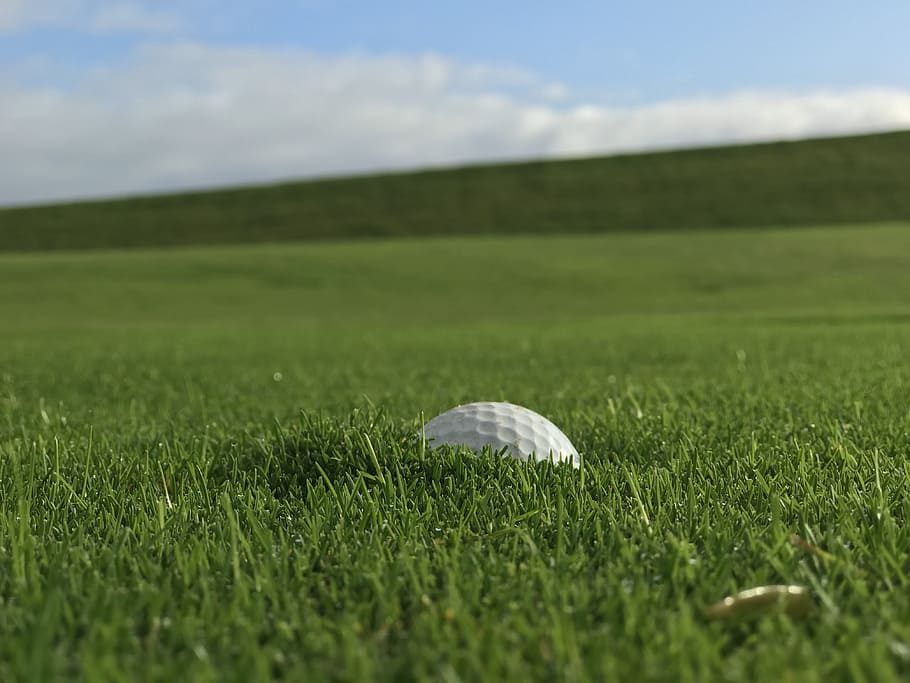 grass, nature, meadow, summer, landscape, golf ball, dike, plant HD wallpaper