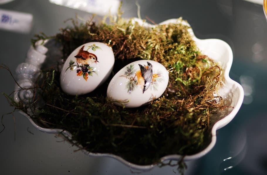 porcelain, easter eggs, indoors, close-up, no people, high angle view HD wallpaper