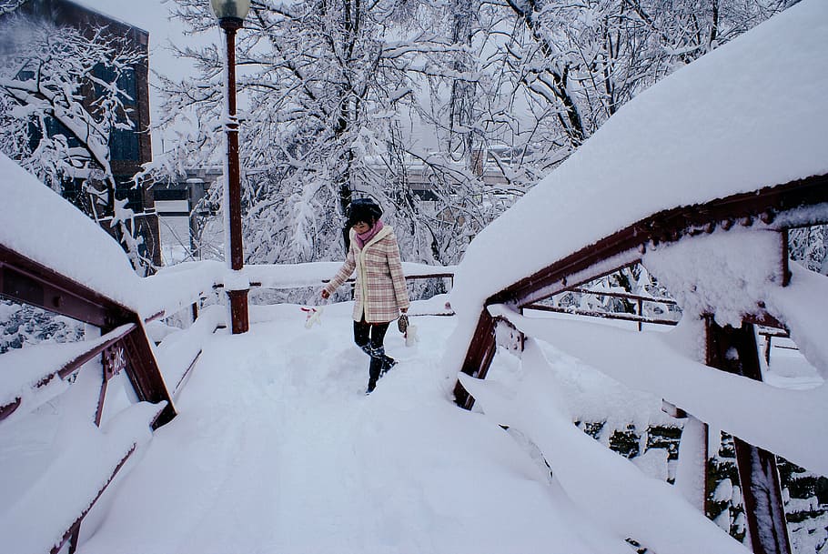 cold, person, snow, snowcapped, trees, weather, winter, woman HD wallpaper