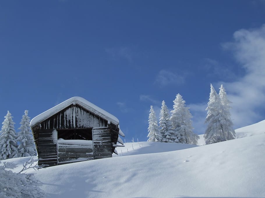 hut, snow, winter, tyrol, serfaus-fiss-ladis, cold temperature HD wallpaper