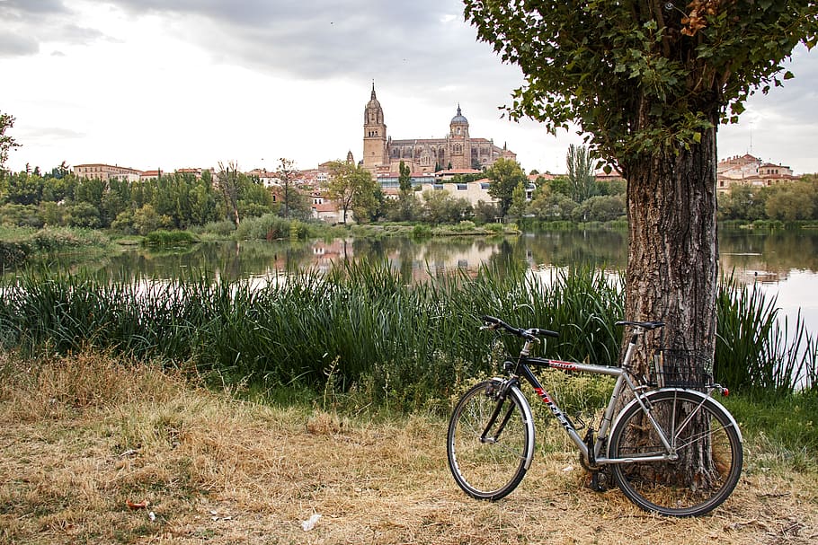 landscape, river, bicycle, tree, sky, nature, romantic, clouds HD wallpaper