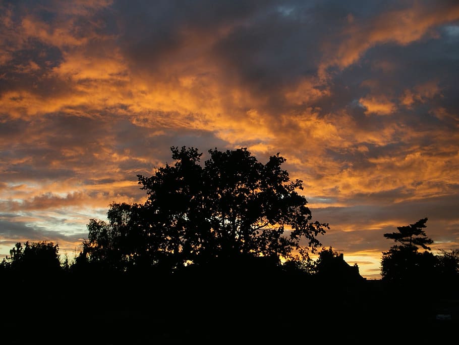 sunset, clouds, dusk, afterglow, sky, red, trees, silhouette HD wallpaper