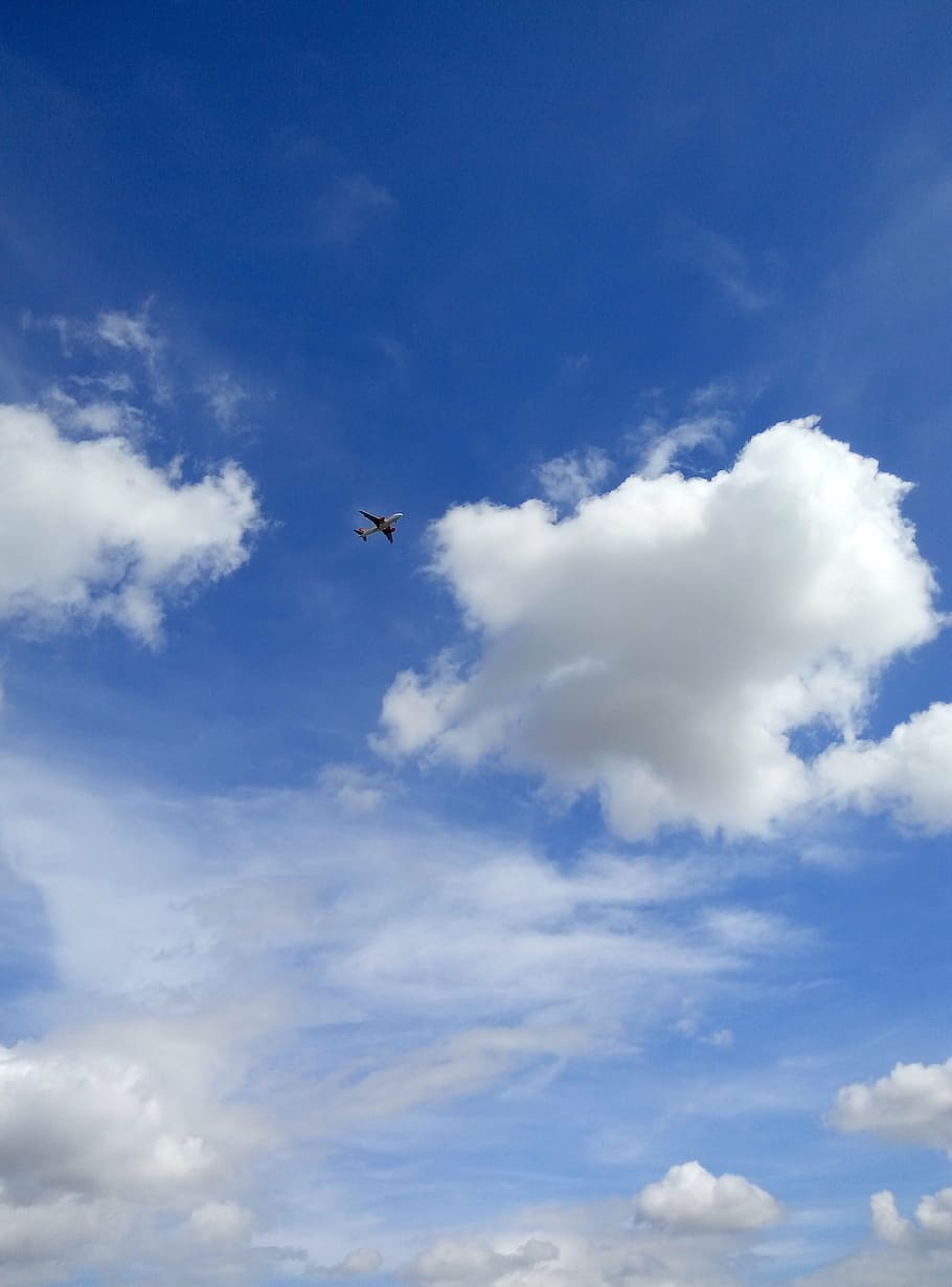 flying gray airliner, airplane, blue sky, clouds, cloud - sky HD wallpaper