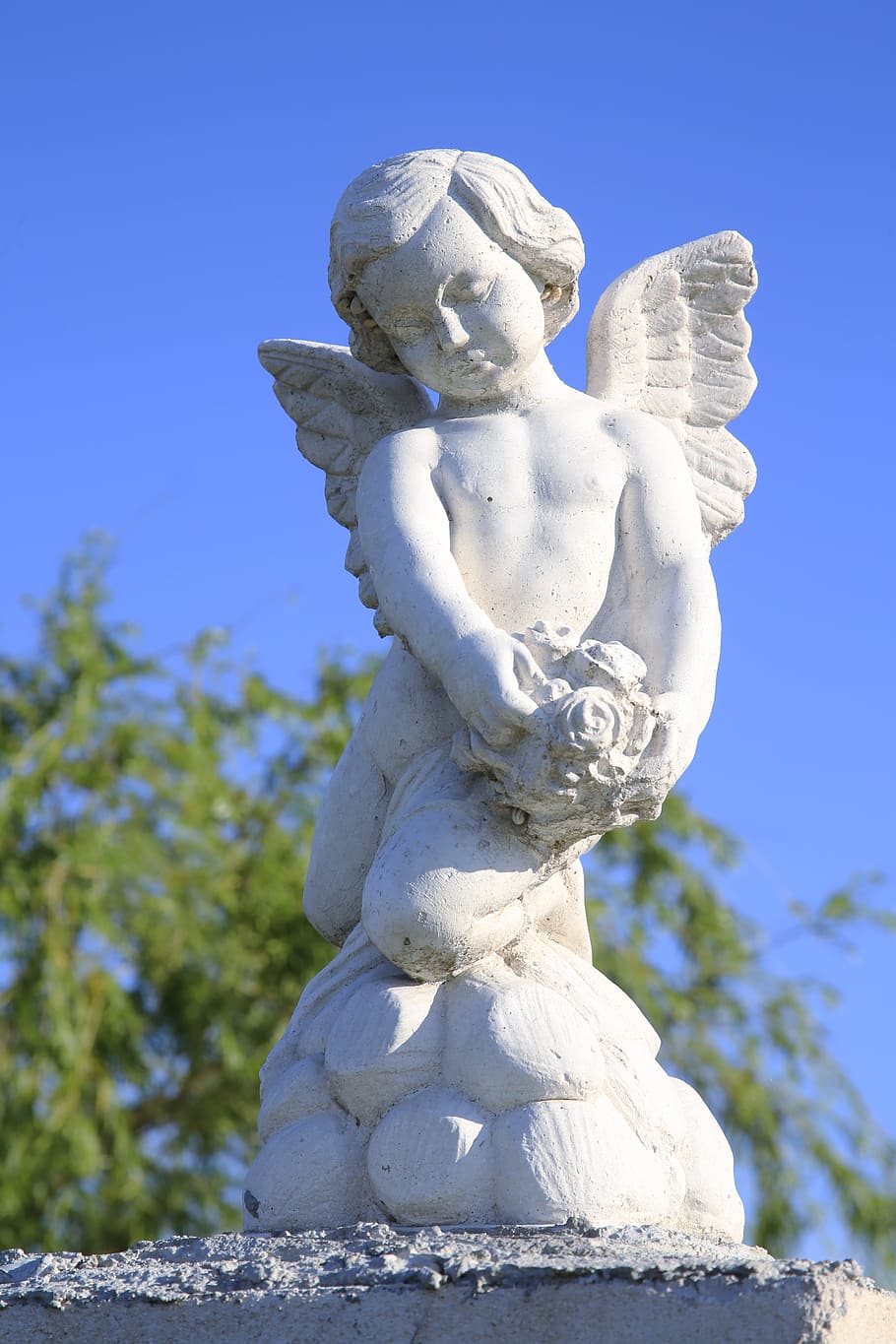 angels, cherub, catholic, wings, cloud, cathedral, sculpture HD wallpaper