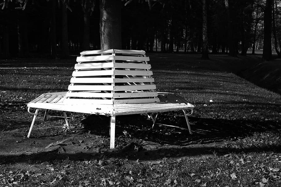 bench, nature, shadow, trees, grass, black and white, contrast HD wallpaper