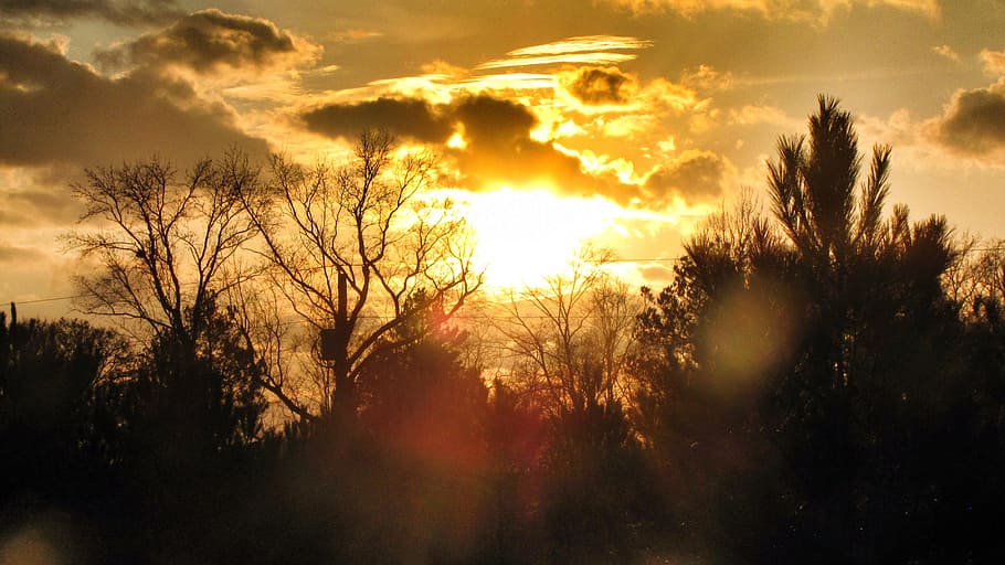 Sunset, Orange, Sky, Dusk, Horizon, twilight, tree, nature HD wallpaper