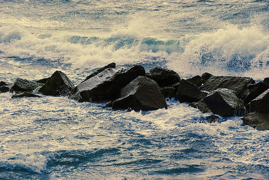 baltic sea, beach, surf, sea water, wave, darß, rock, beauty in nature, HD wallpaper